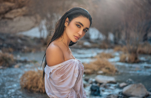 1705963 (a): :3000x1941